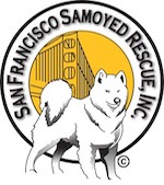 San Francisco Samoyed Rescue